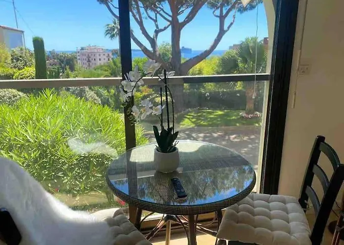 The Sun Paradise Dream Cannes