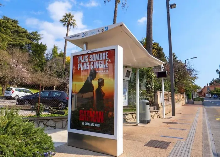 The Sun Paradise Dream