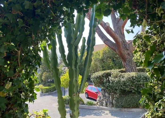 Daire The Sun Paradise Dream *