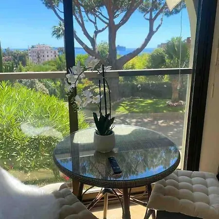 The Sun Paradise Dream Cannes