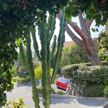 Apartament The Sun Paradise Dream *