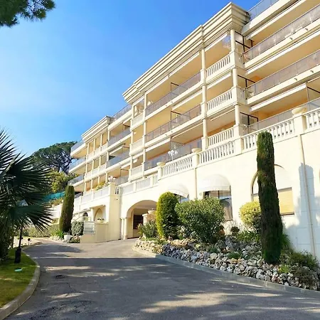 The Sun Paradise Dream